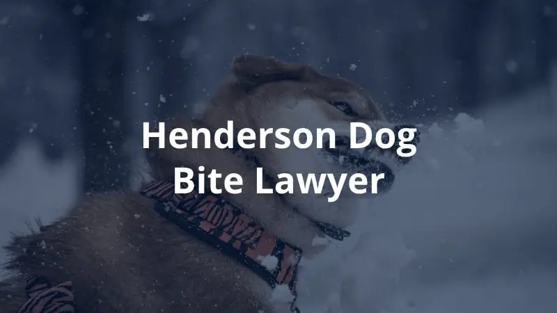 Henderson Dog Bite Lawyer